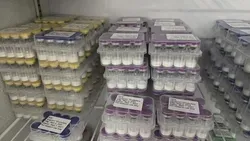 HMG-Kingsport-Promote-Follicular-Development-Peptides-CAS-61489-71-2-Factory-Direct-Sales-in-Store-1.webp